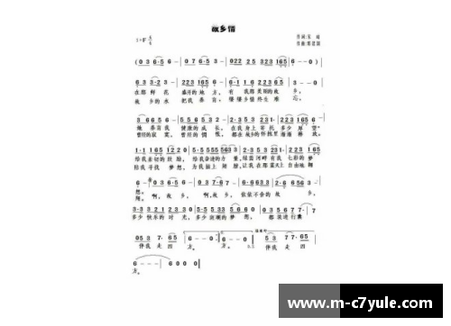 中国兄弟球员：共谱荣耀之路