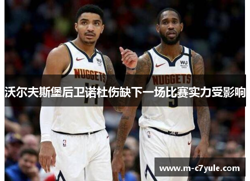 沃尔夫斯堡后卫诺杜伤缺下一场比赛实力受影响