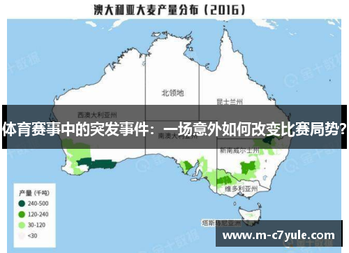 体育赛事中的突发事件：一场意外如何改变比赛局势？